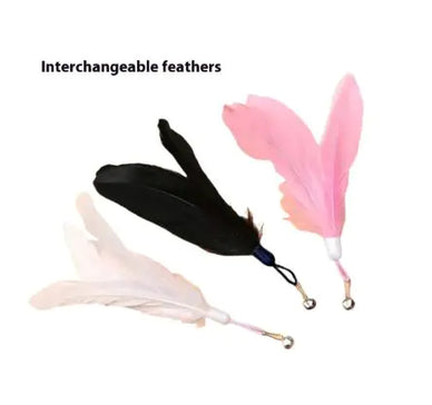 Unleash Joyful Playtime with Your Feline Friend!