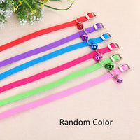 Elastic Band Bell Collar for Dogs and Cats