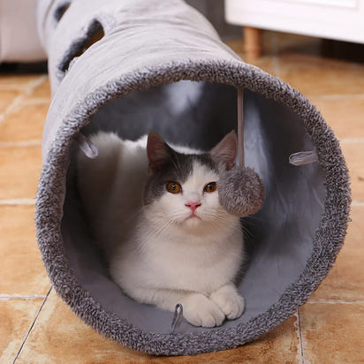 Purr Long Tunnel